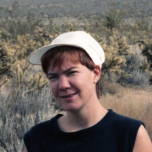 ellen klages